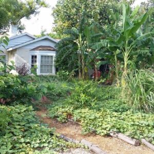 Permaculture Gardening