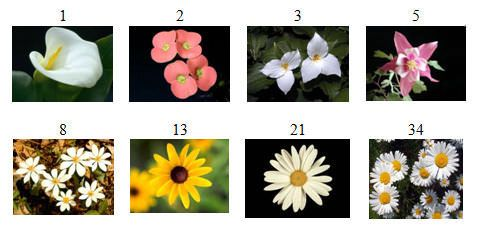 unnamed (61)