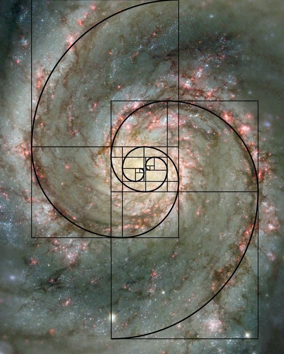 unnamed (71)